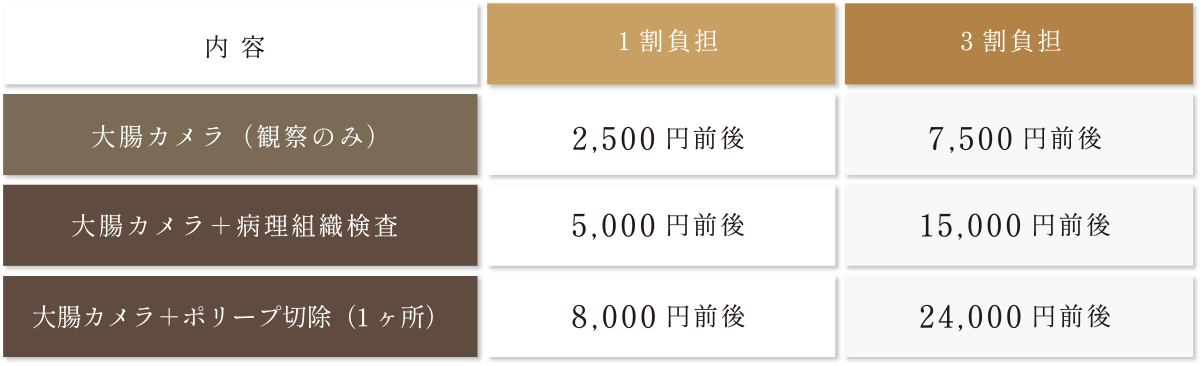 大腸カメラ(観察のみ)1割負担:2,500円前後、3割負担:7,500円前後。大腸カメラ+病理組織検査1割負担:5,000円前後、3割負担15,000円前後。大腸カメラ+ポリープ切除(1ヶ所)1割負担:8,000円前後、3割負担:24,000円前後。