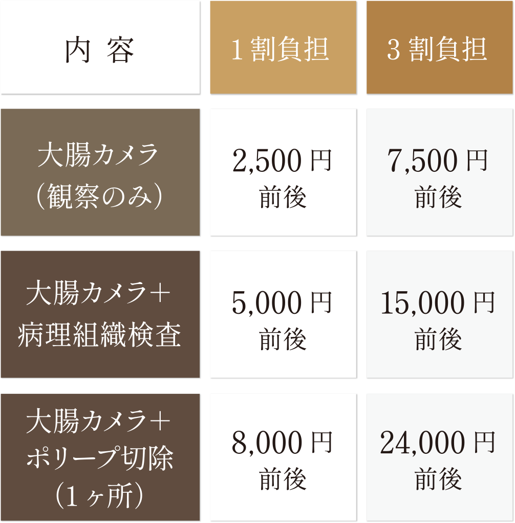胃カメラ(観察のみ)1割負担:1,500円前後、3割負担:4,500円前後。胃カメラ+病理組織検査1割負担:3,000円前後、3割負担9,000円前後。