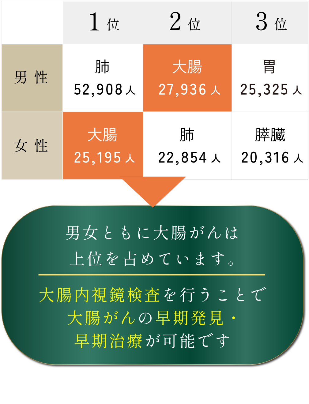 2023年 部位別がん死亡数の表/男女ともに大腸がんは上位を占めています。大腸内視鏡検査を行うことで大腸がんの早期発見・早期治療が可能です。